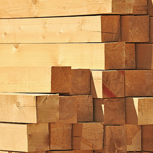 Siberian Larch Timber – 100mm thick