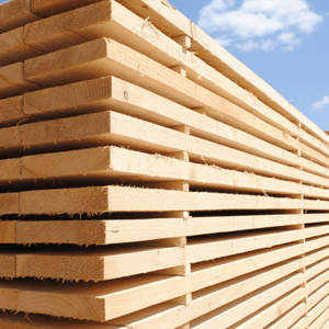 Siberian Larch Timber – 25mm thick